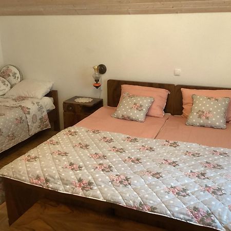 Pr' Grogori Apartamento Zelezniki Exterior foto