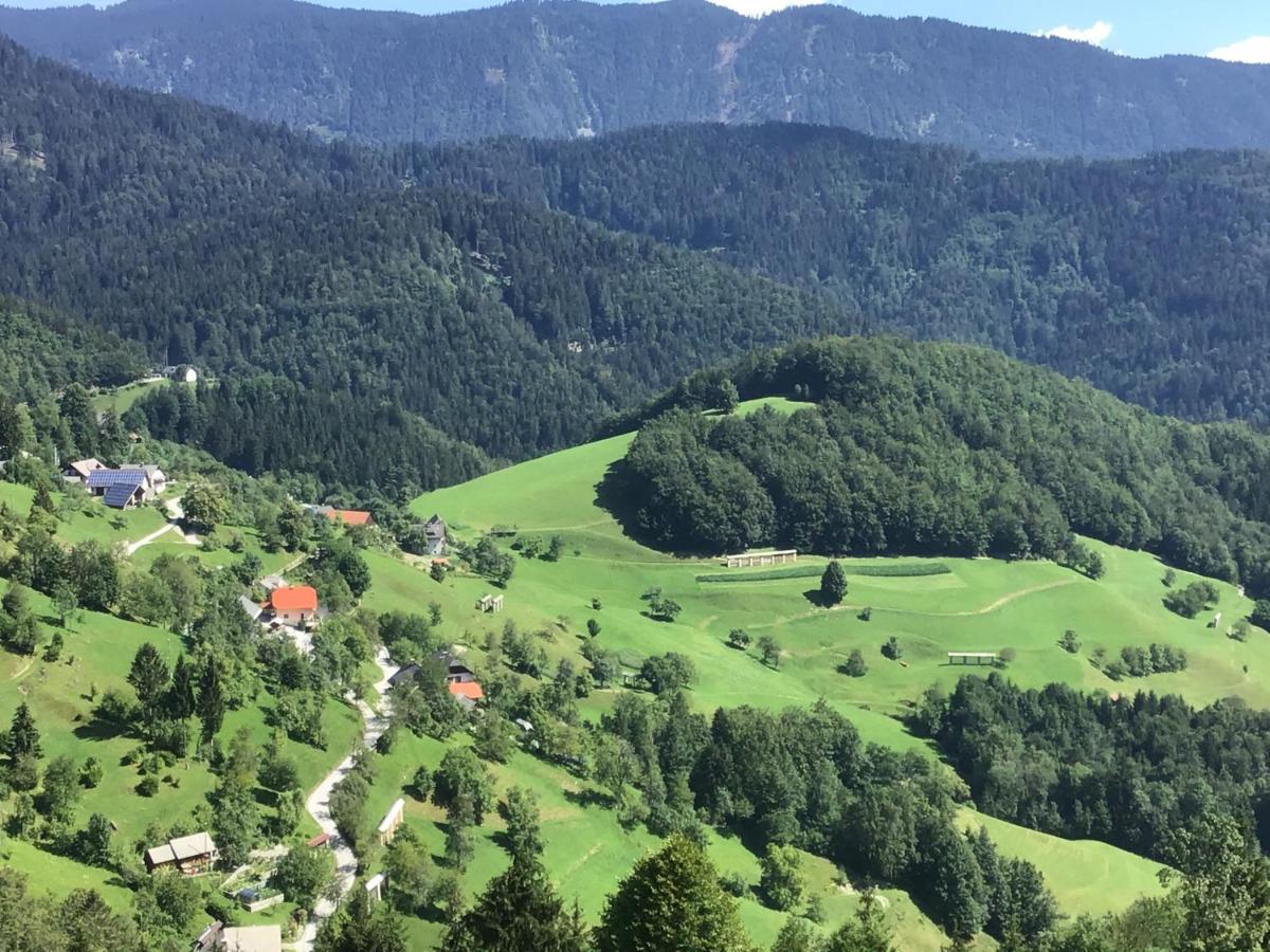 Pr' Grogori Apartamento Zelezniki Exterior foto