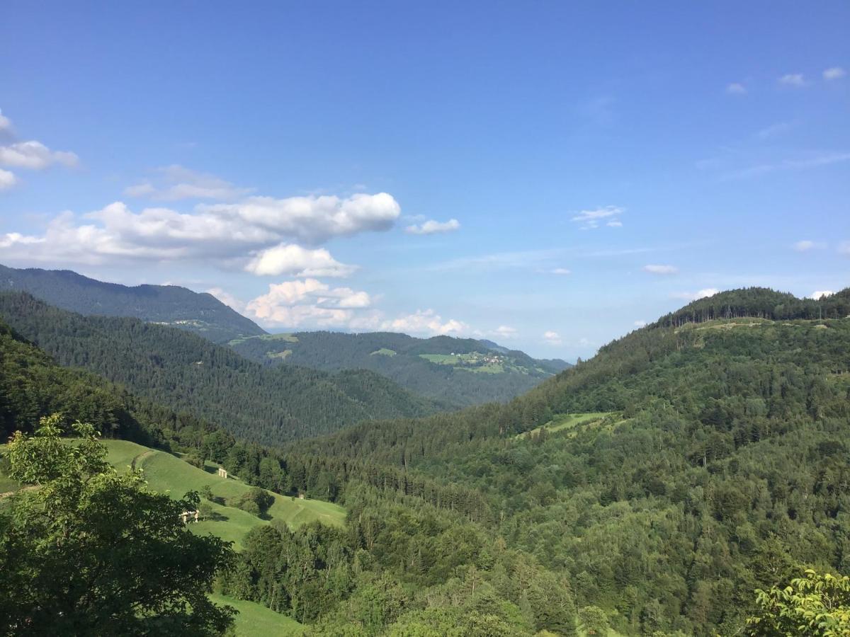 Pr' Grogori Apartamento Zelezniki Exterior foto